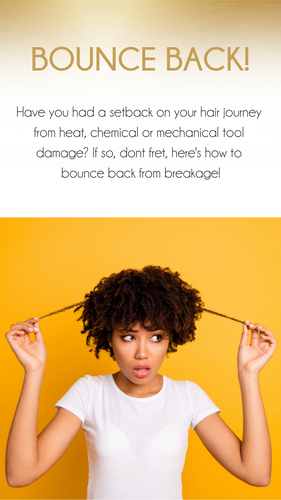 Bouncing Back from Breakage