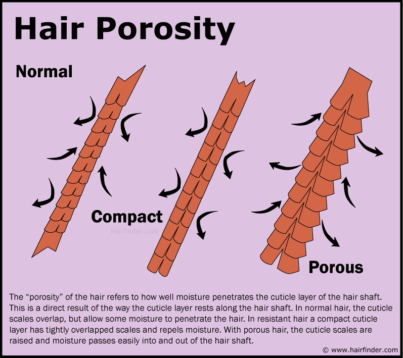 Let’s Talk Hair Porosity – Shedavi